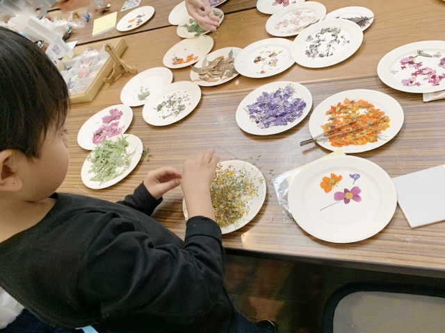 桜の押し花は危険なの さくらの押花の簡単な作り方や活用法を紹介